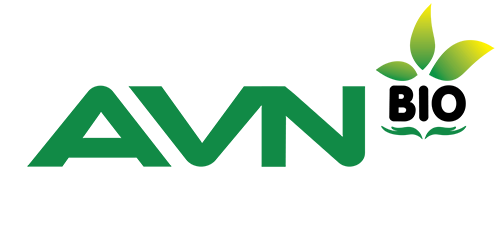 AVN